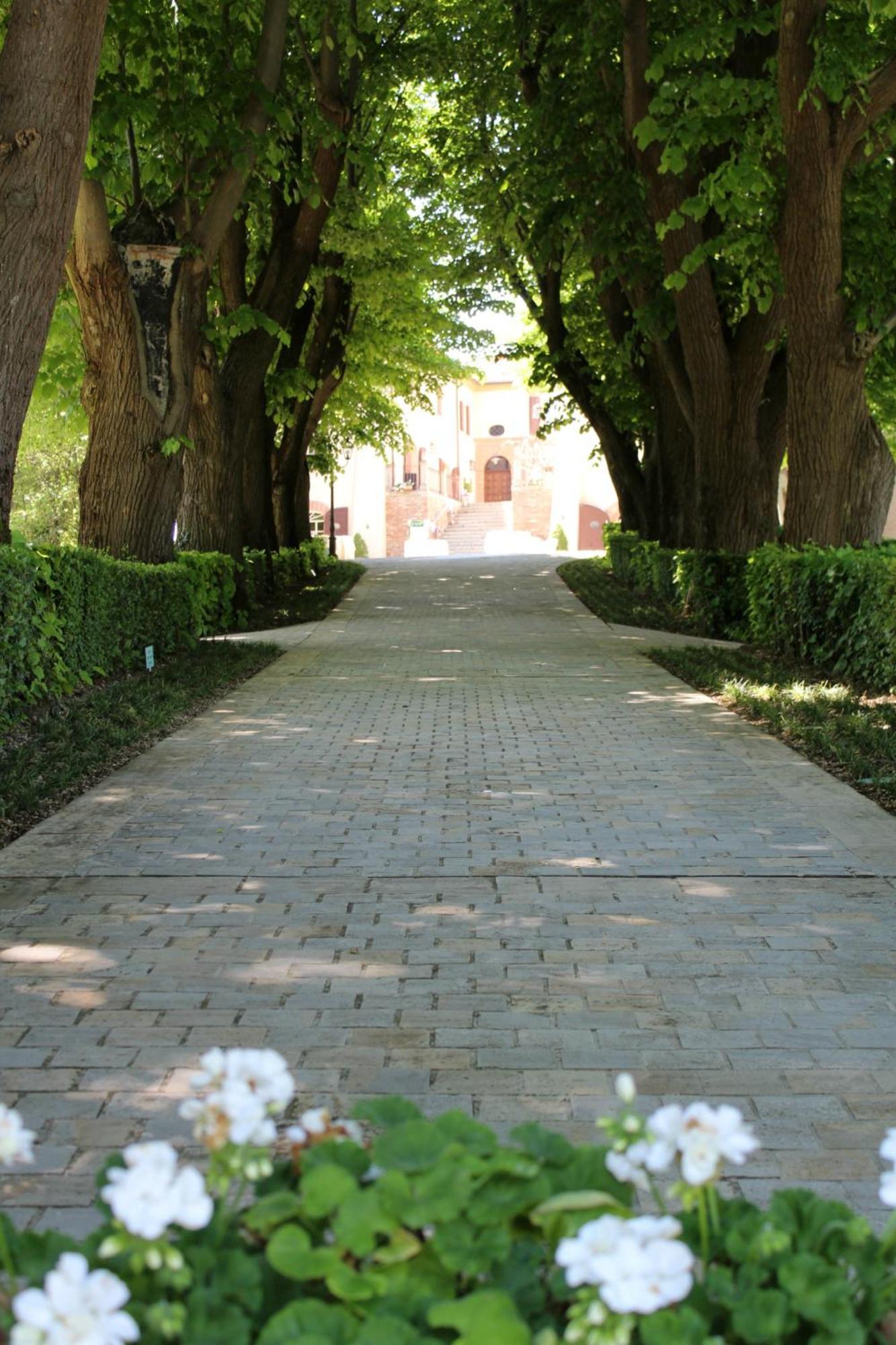 Poggio BerniPalazzo Del Poggiano住宿加早餐旅馆 外观 照片