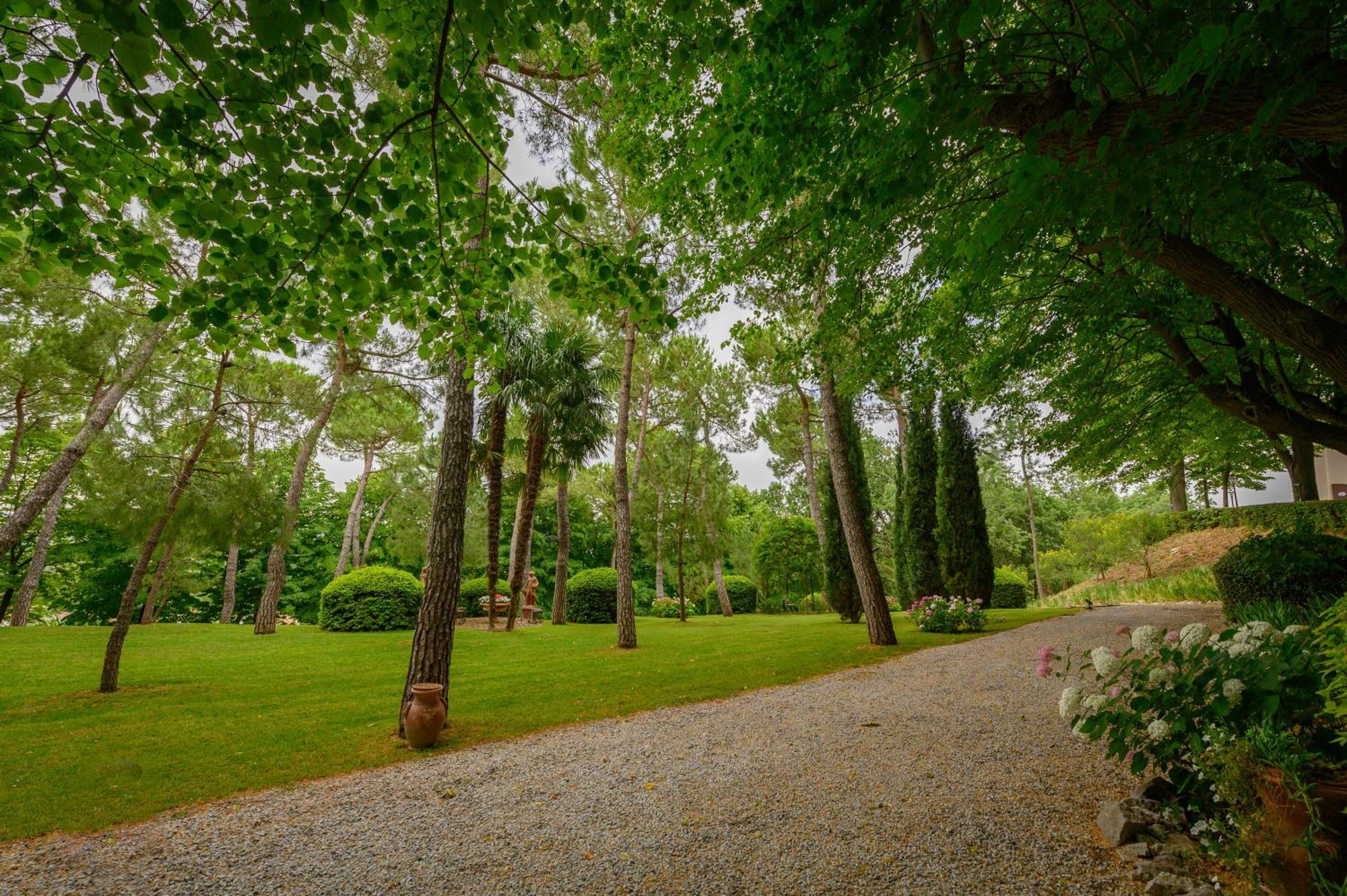 Poggio BerniPalazzo Del Poggiano住宿加早餐旅馆 外观 照片